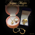 Mini Lote Joyas Bañadas en Oro - 6 Piezas